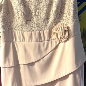EUC: Collection by Dressbarn: TIMELESS and CLASSIC!! FLATTERING beige lace!!